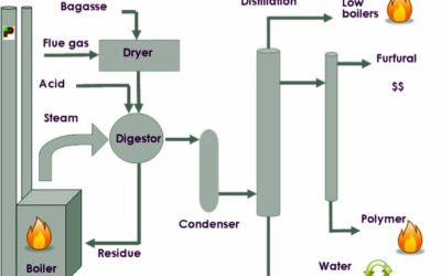 Proserpine Updates on Furfural Project Progress