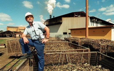Battle for Proserpine Sugar turns bitter