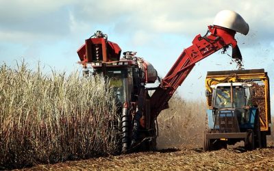 China and Singapore battle it out for Proserpine sugar mill