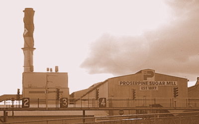 Proserpine Sugar Future Uncertain