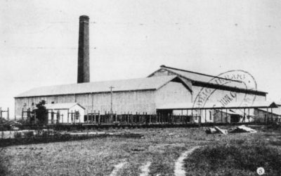 Proserpine Central Sugar Mill, 1906 (Proserpine, Queensland, Australia)