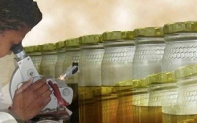 DalinYebo Innovation