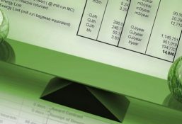 The-Right-Balance™