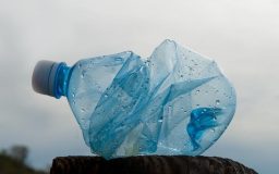 PET Bottle